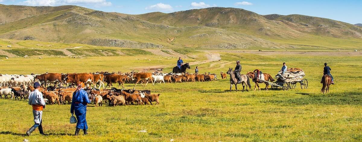 Day 9: Arkhangai province, discover the nomadic lifestyle and sample traditional Mongolian barbecue.