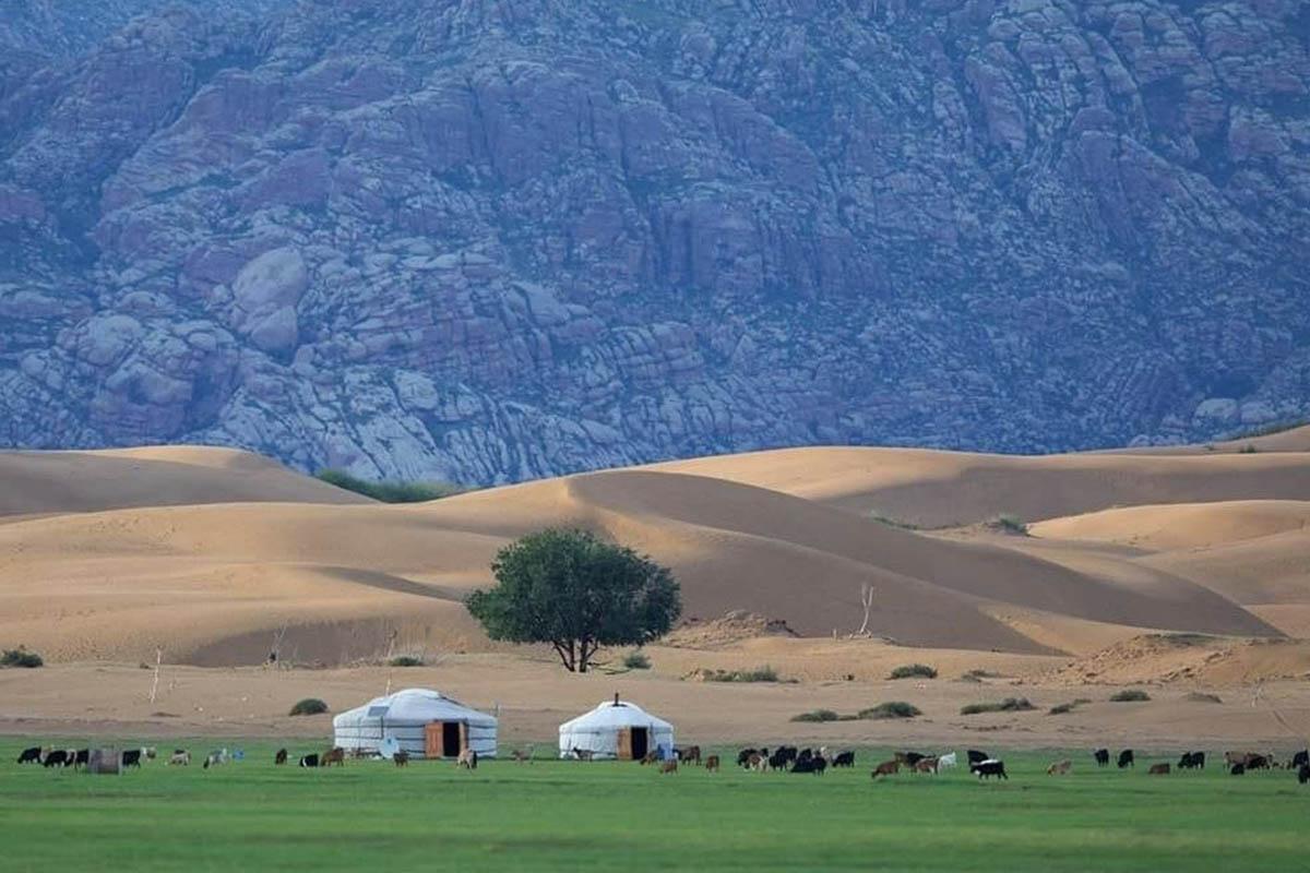 DAY 2 Elsen Tasarkhai