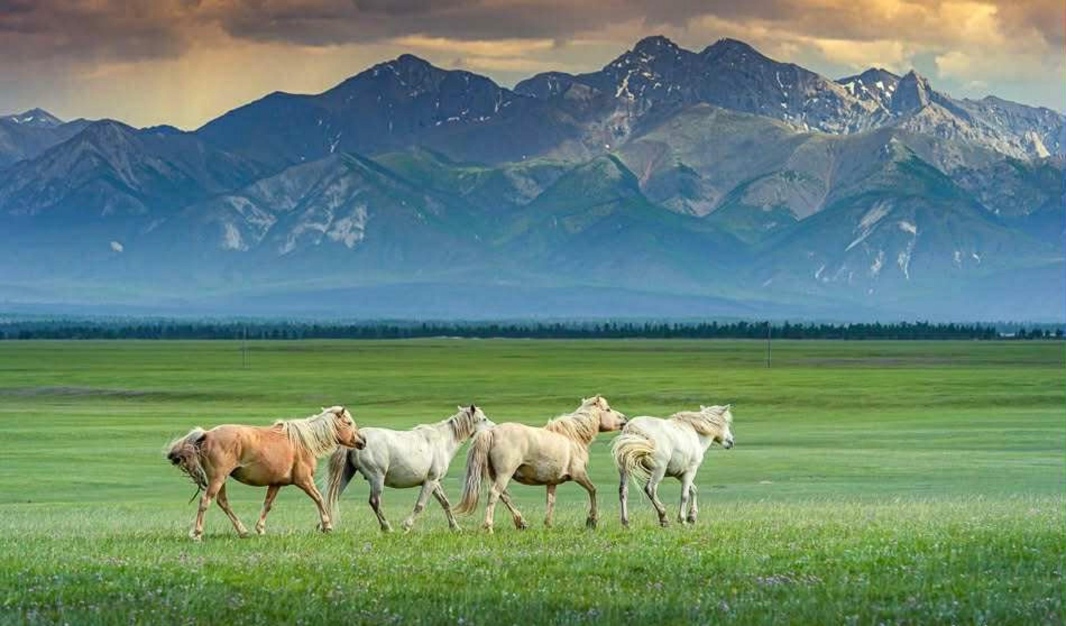 Flexibility of Schedules