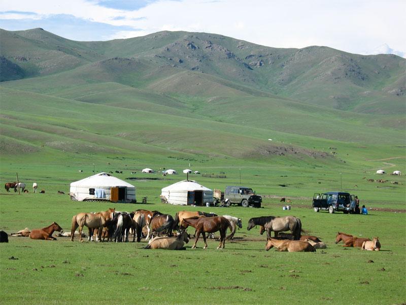 Day 8: Return to Ulaanbaatar after visiting nomads and riding horses.