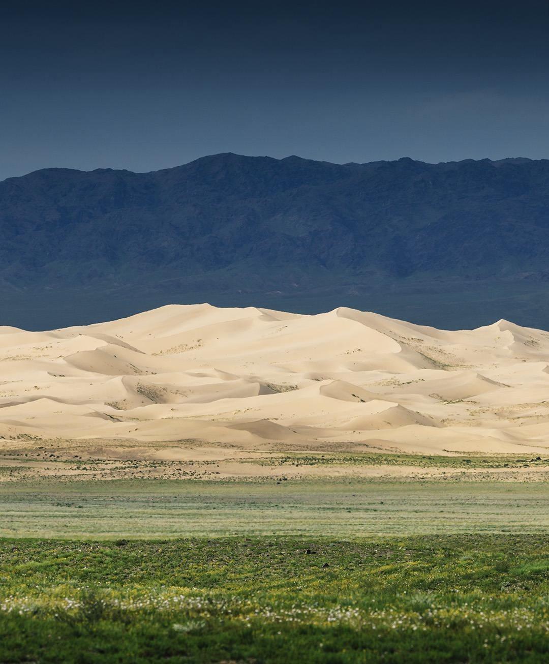 Day 4: Sand Dunes at Khongor and riding a two-humped camel