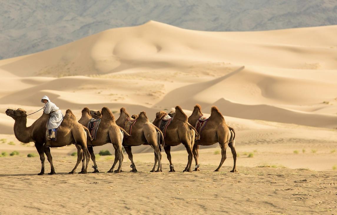 Day 4: Khongor sand dunes