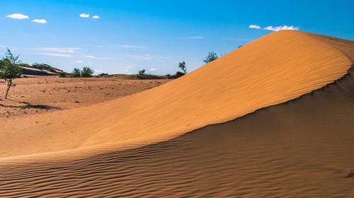 DAY 1 Elsen Tasarkhai