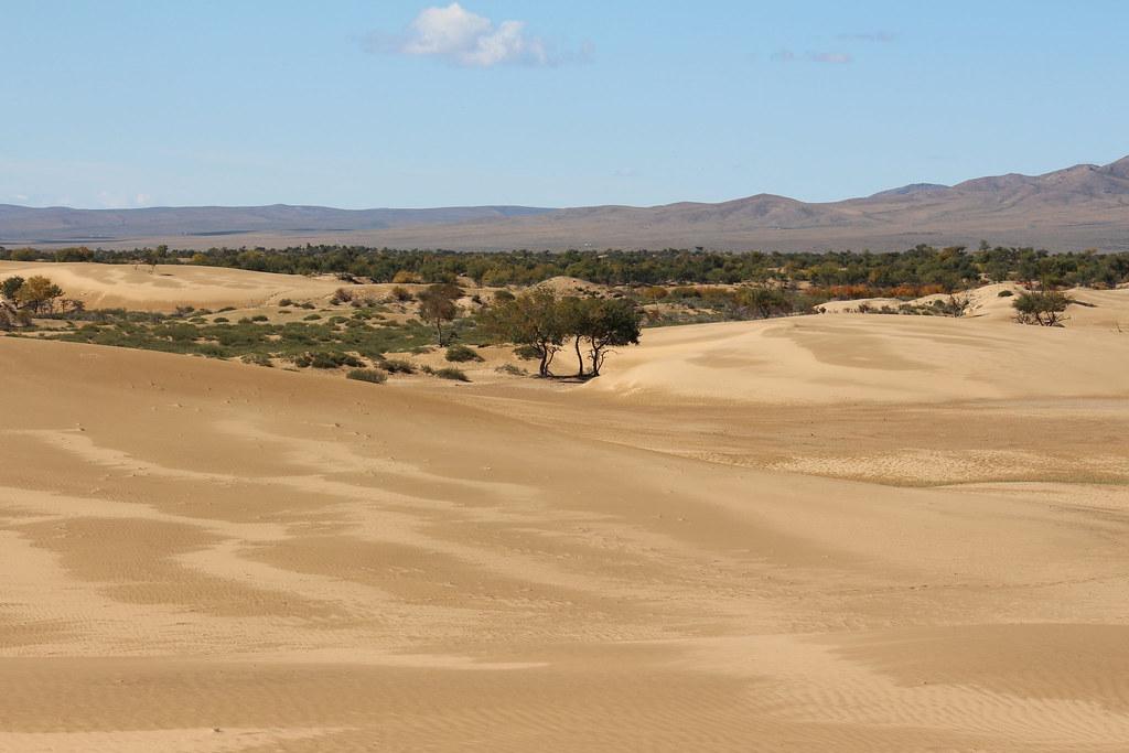 Day 10: Elsen Tasarkhai Sand Dunes