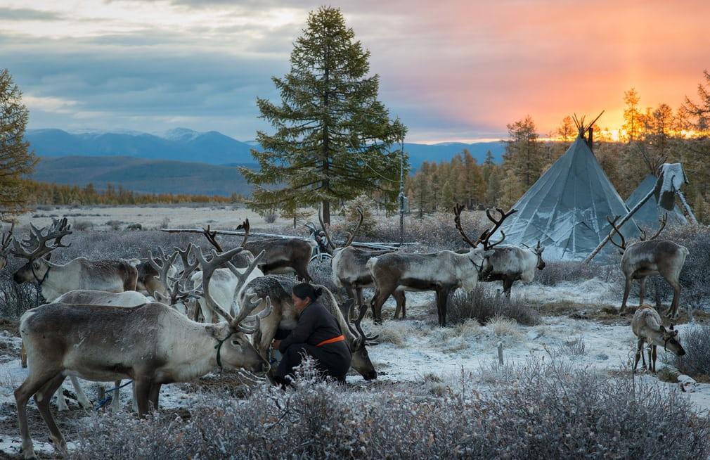 DAY 6-7. ATTEND SNOW-TSAATAN FESTIVAL